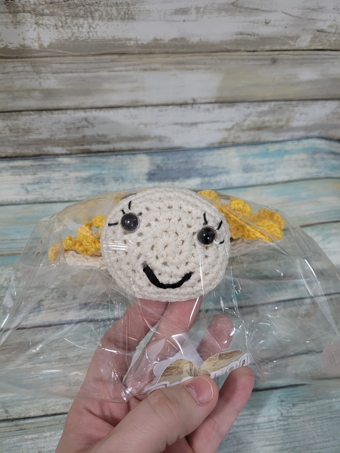 Sunflower Turtle