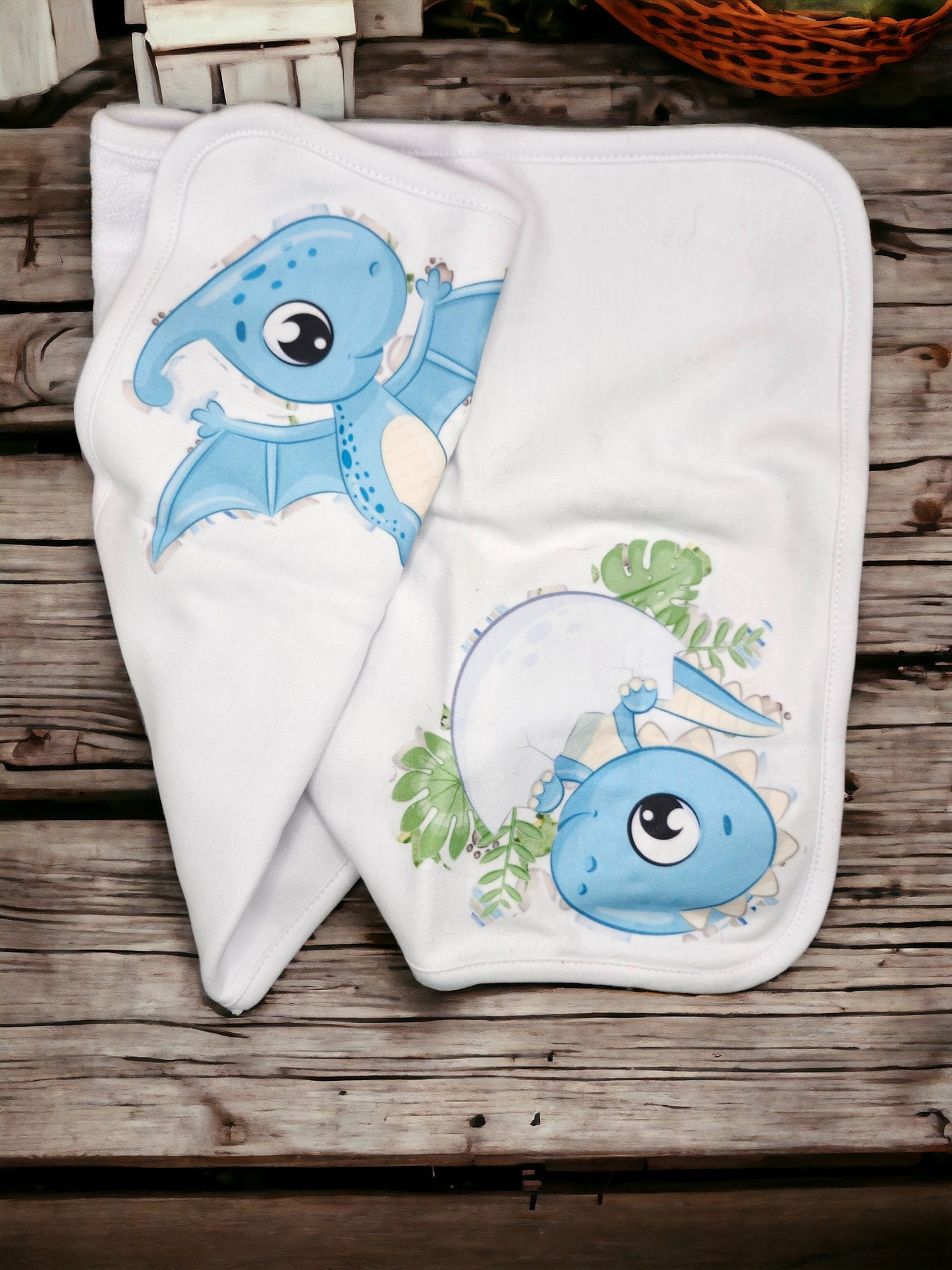 Dinosaur Set