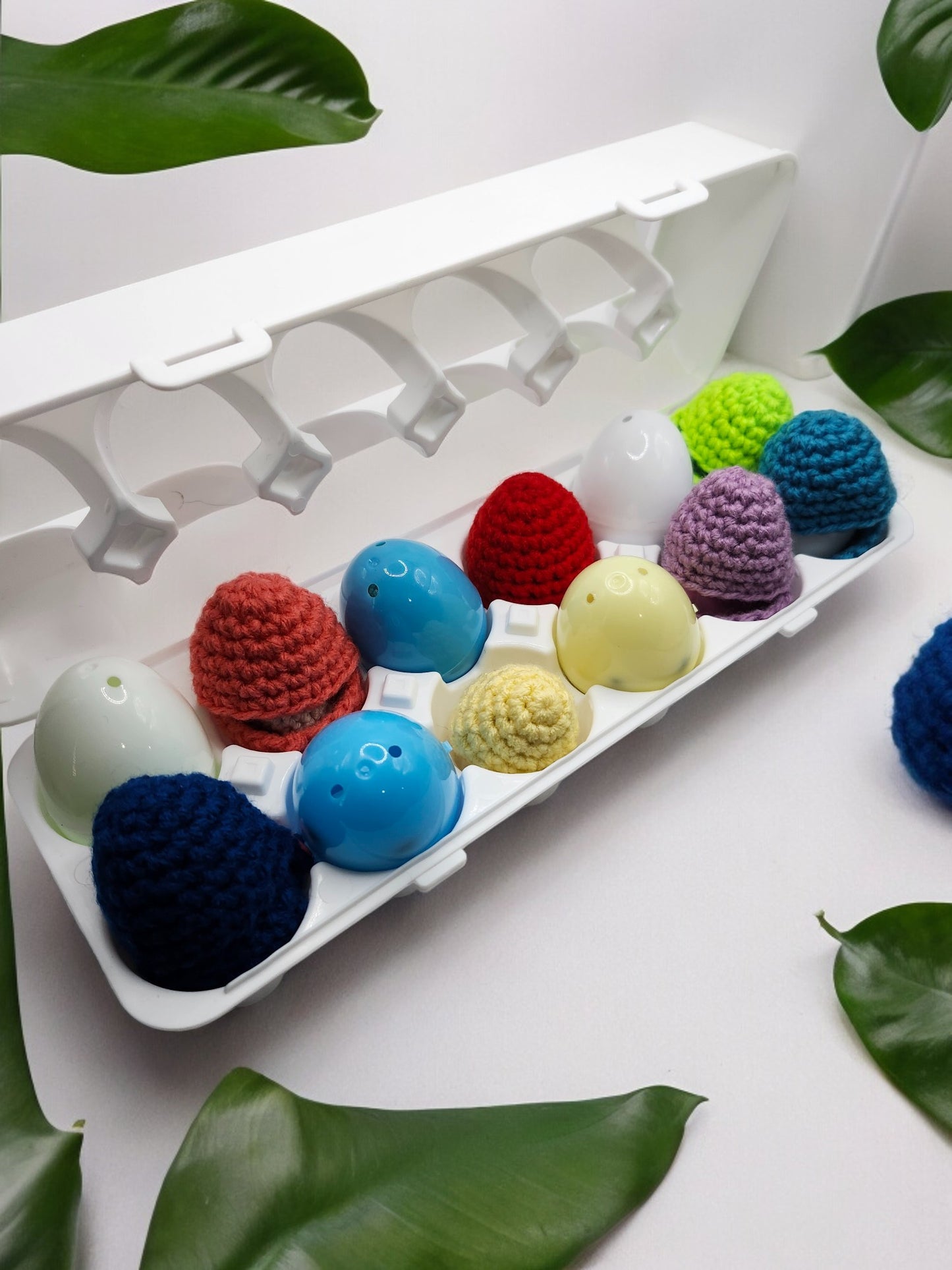 Carton of Eggs
