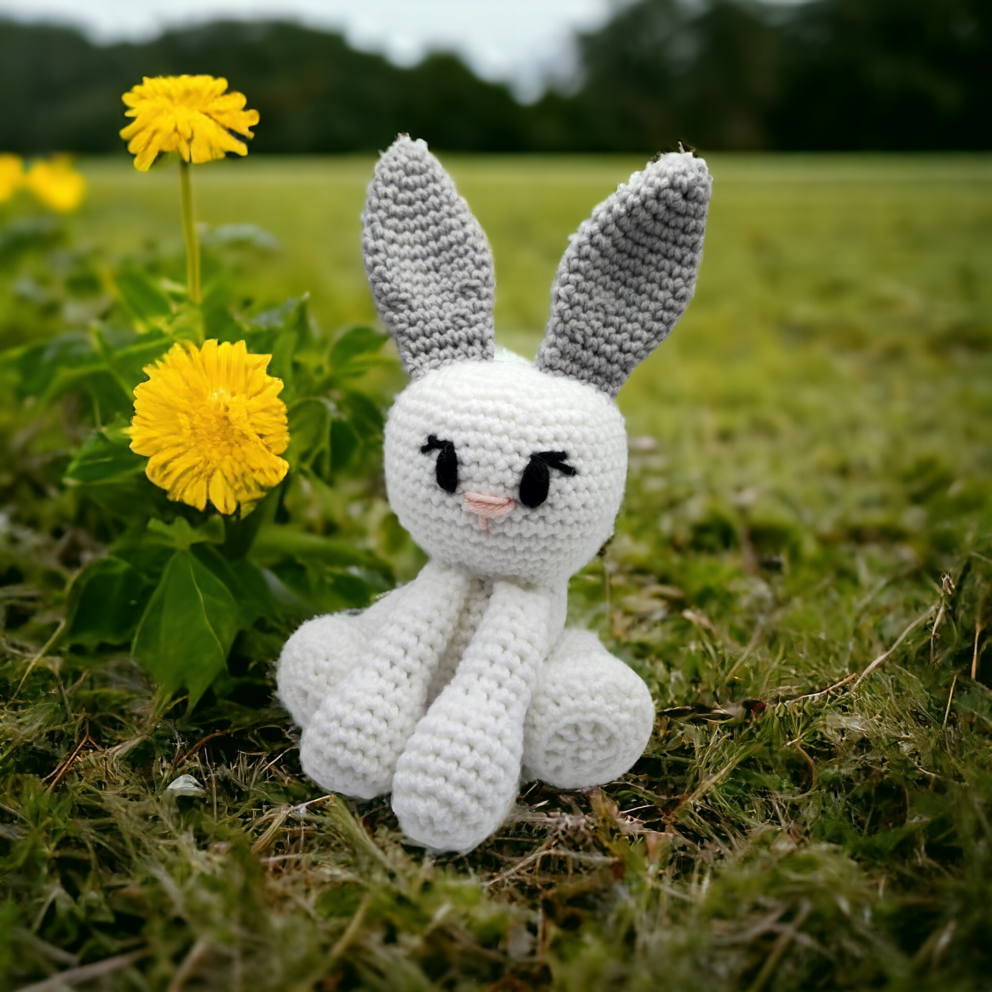 Susan the Bunny- Rattle