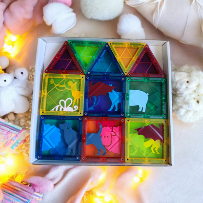 Magnetic Match