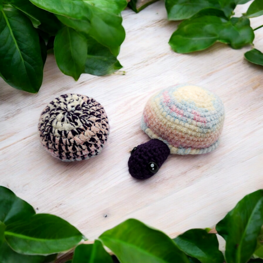 Crinkle Rattle Turtle Set
