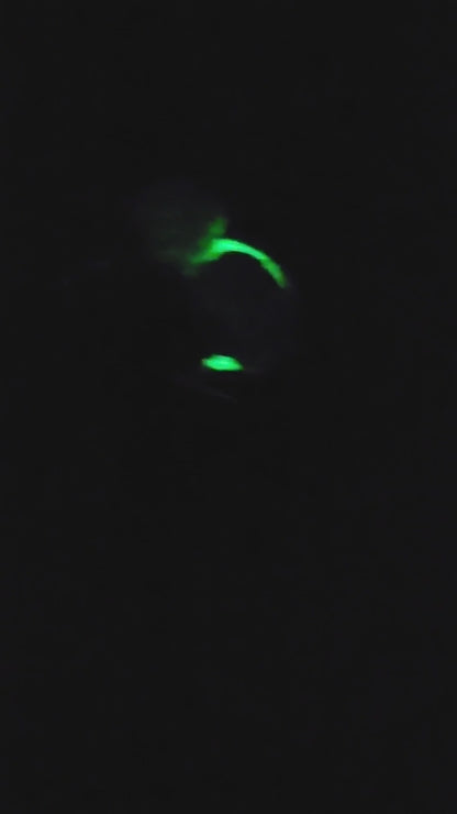 Firefly Rattles- GLOW